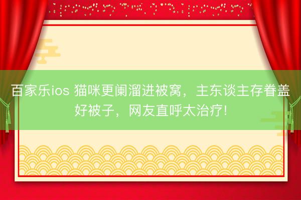 百家乐ios 猫咪更阑溜进被窝，主东谈主存眷盖好被子，网友直呼太治疗!